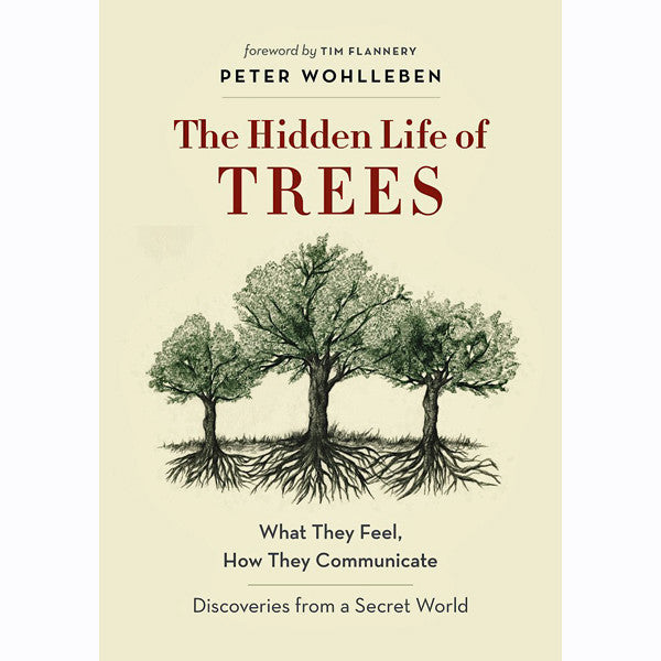 the hidden life of trees online