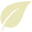 Agave Leaf Image