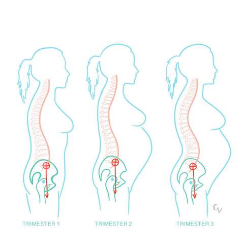 Posture changes during pregnancy