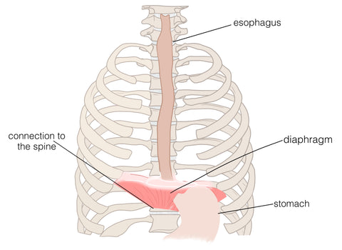 How can chiropractic help treat reflux during infancy?