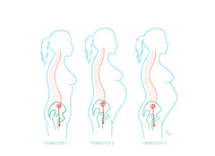 Posture changes pregnancy