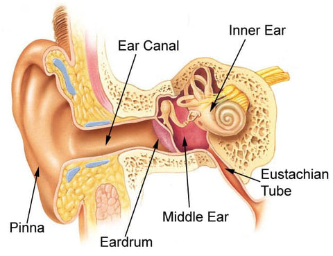 ear infections