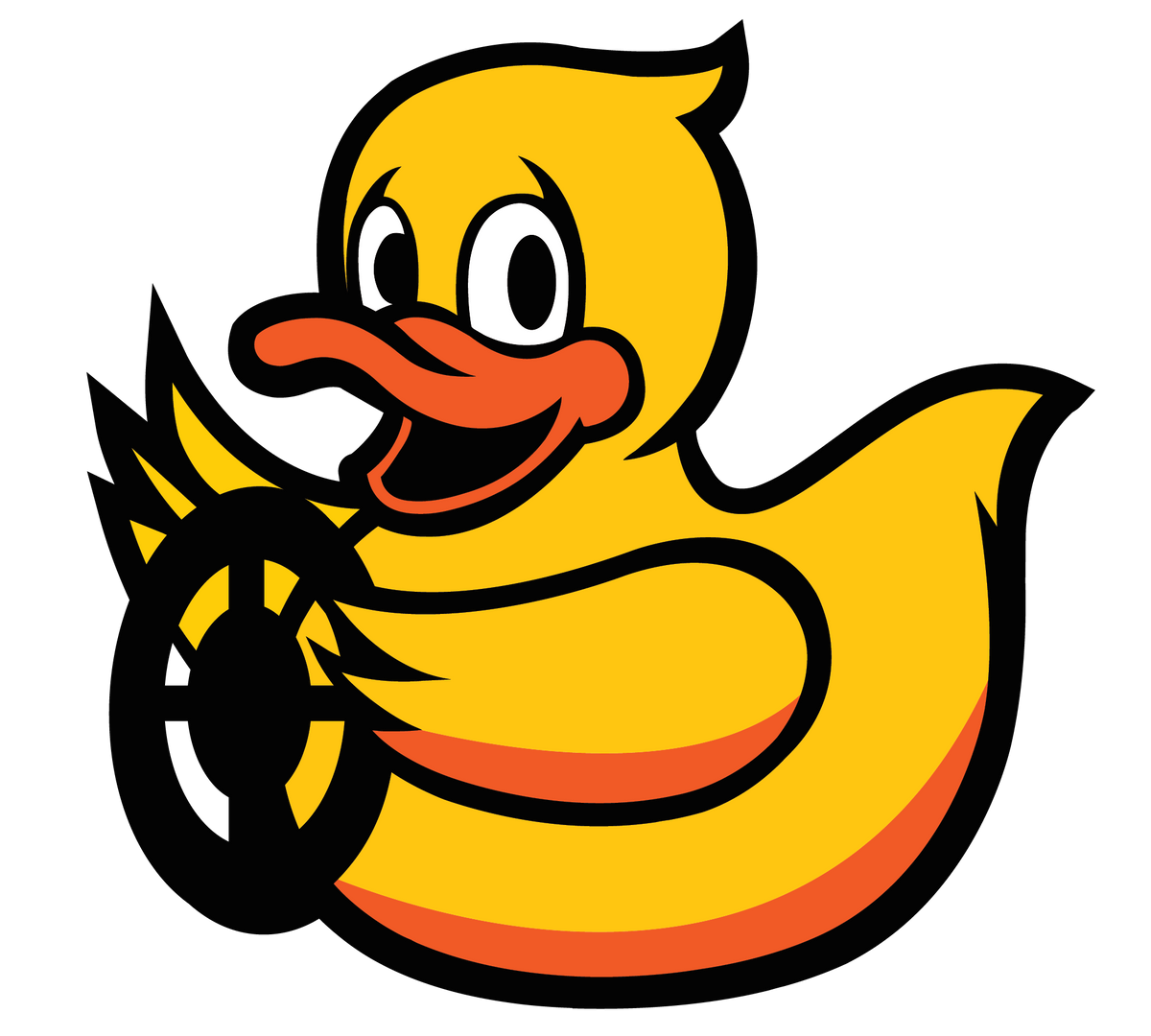the Duckietown project store