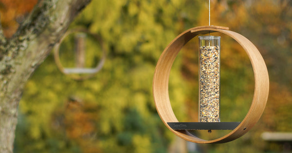 Where to place bird feeder?