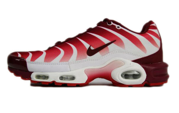 nike tn after the bite