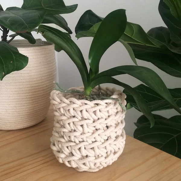 Loadshedding Planter - Ivory