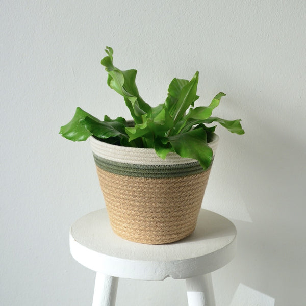 Planter Basket - Olive Jute Jungle