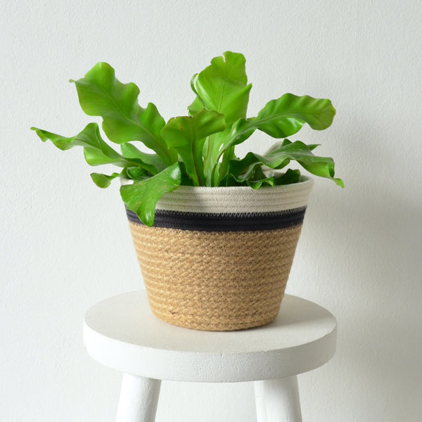 Planter Basket - Charcoal Jute Jungle