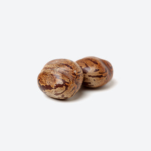 Castor seed image