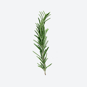 Rosemary image