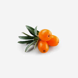 Sea Buckthorn image