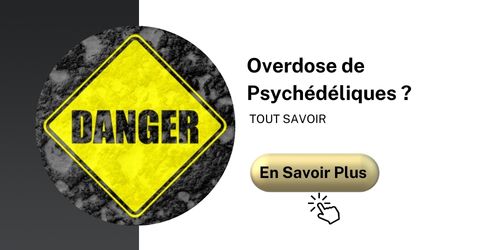 overdose de psychedelique ?