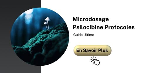 psilocybine guide ultime