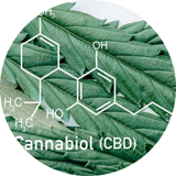 cannabidiol c'est quoi 