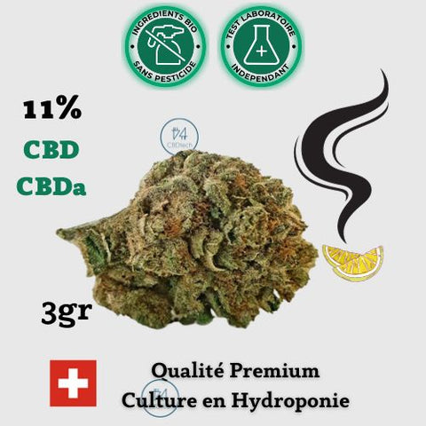 fleurs cbd puissante hydroponie super lemon haze