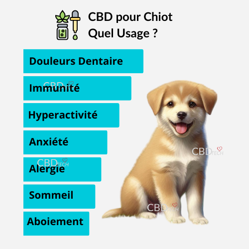 Cos'è l'olio di cannabidiolo per i cuccioli?