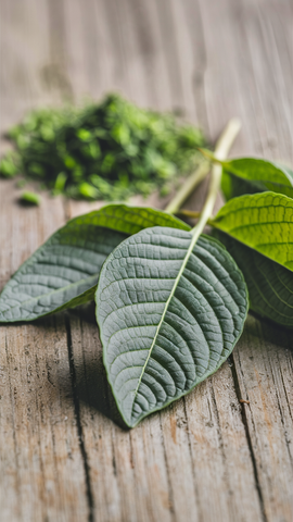 Comment prendre du kratom