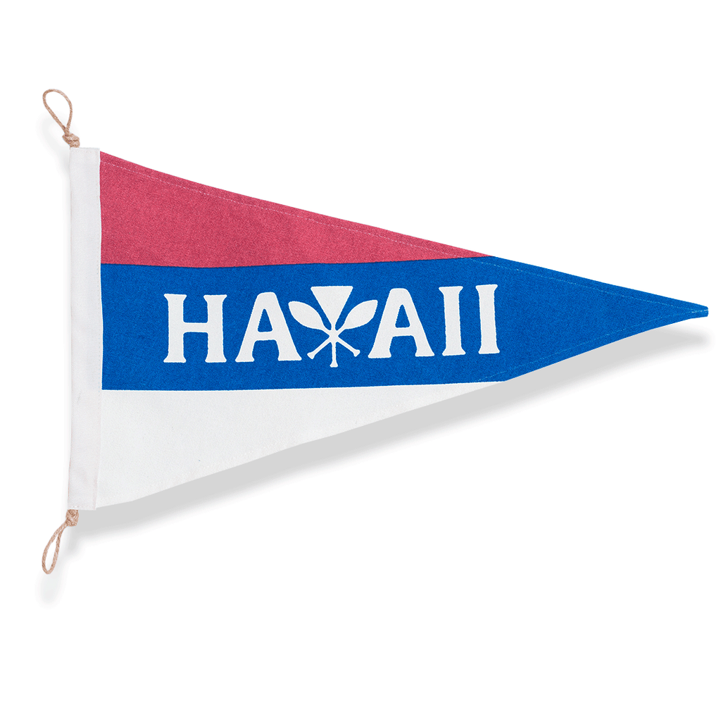 hawaii-beach-flag