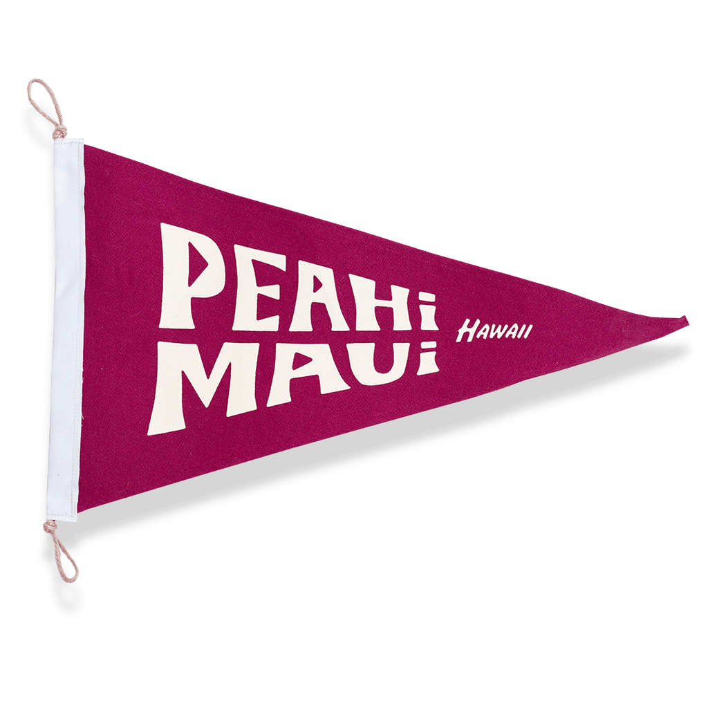 peahi-maui-beach-flag
