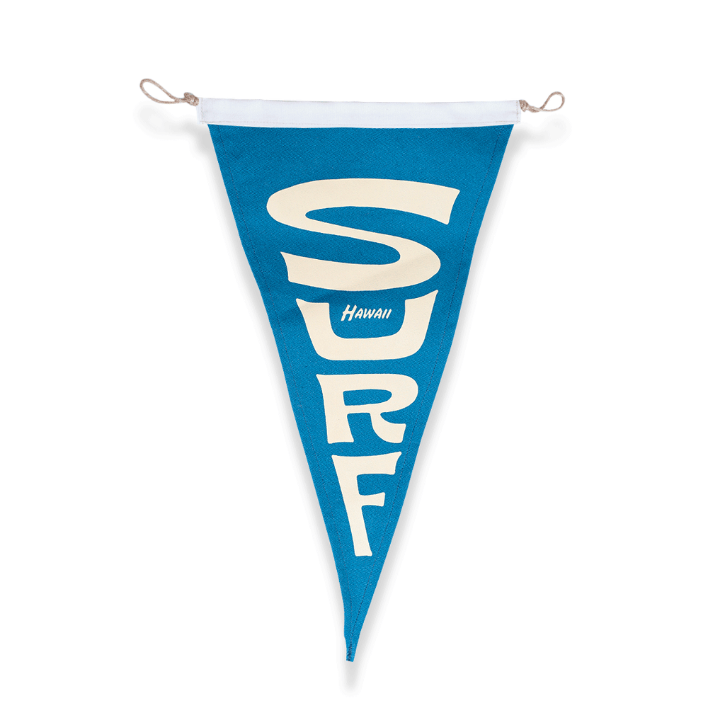 surf-beach-flag