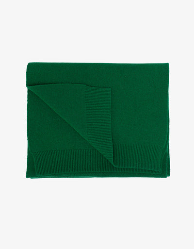 Colorful Standard Merino Wool Beanie Kelly Green- Watch Wear