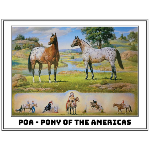 Image of Orren Mixer's painting POA-Pony of the Americas