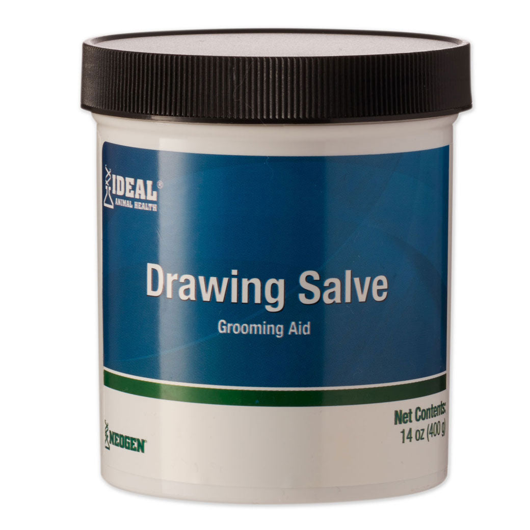 Ichthammol Drawing Salve 14oz M & M Tack Shop