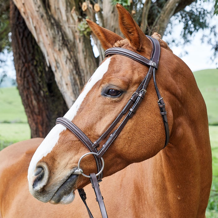 Henri de Rivel Advantage Fancy Raised Padded Bridle – M & M Tack Shop