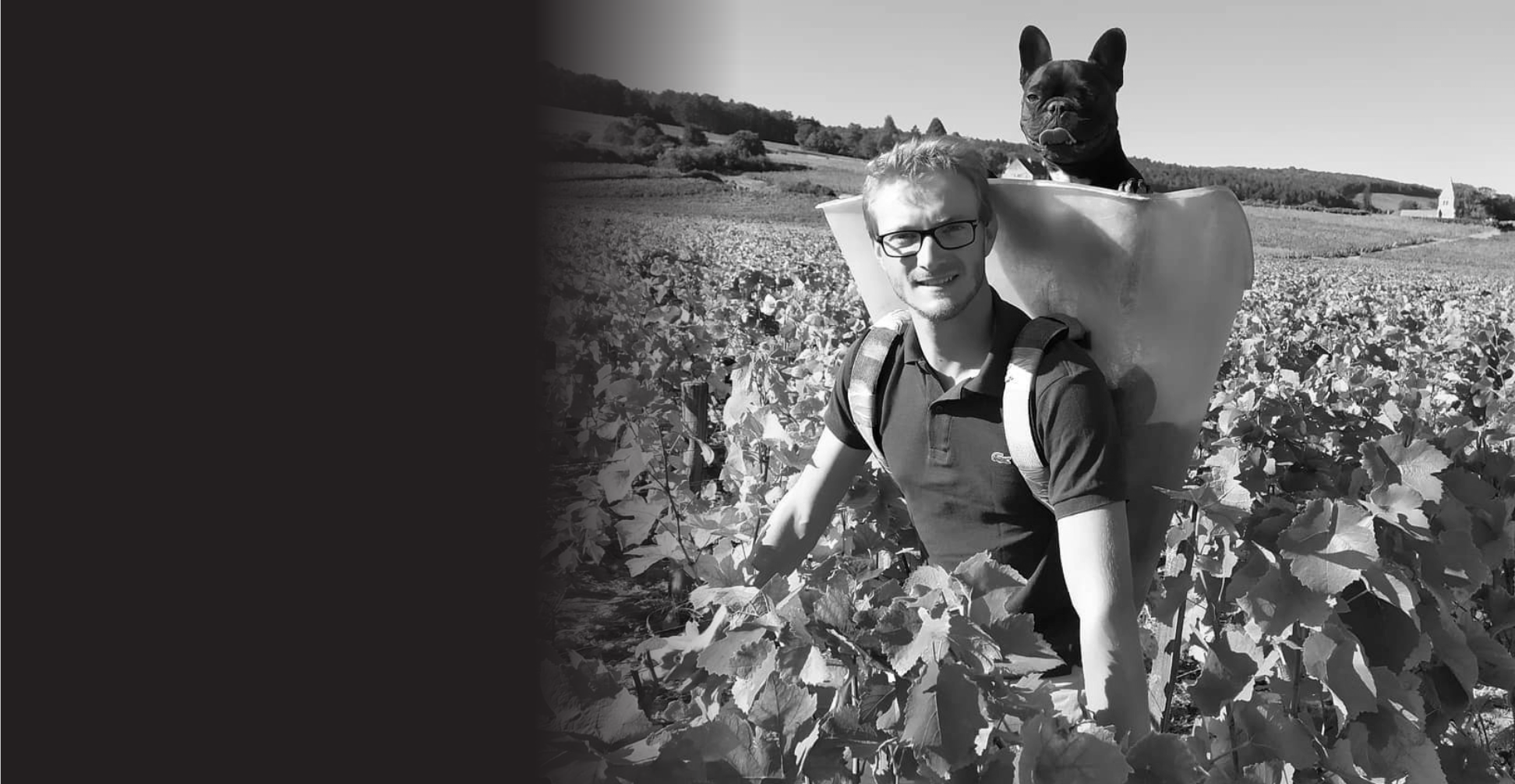 Pascal Pernot in vineyard with dog