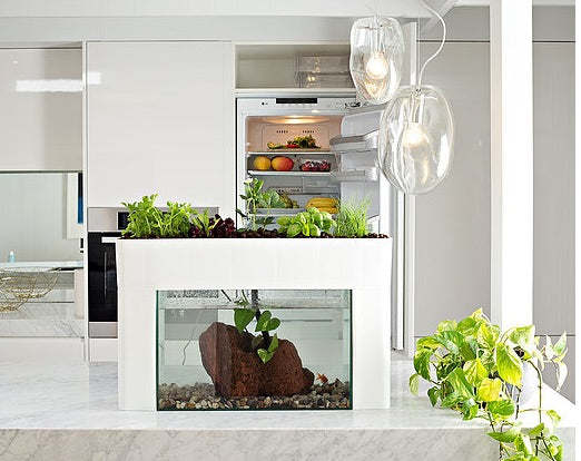 Aquasprouts Aquaponic Setup with Fish Tank – OwnGrown