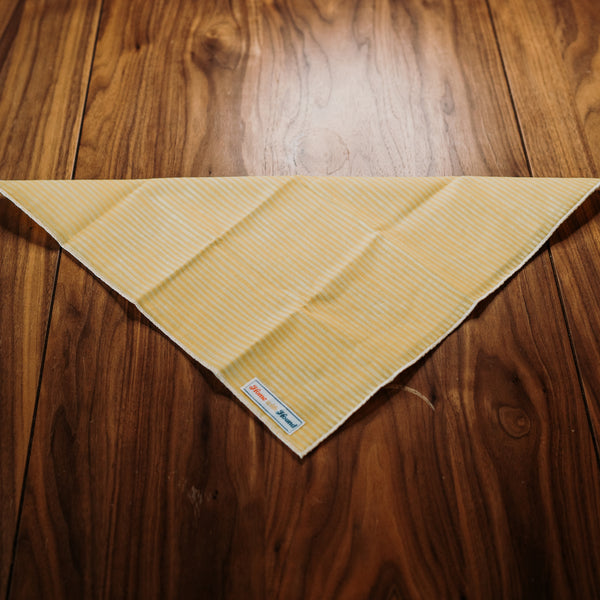 bandana folded in triangle