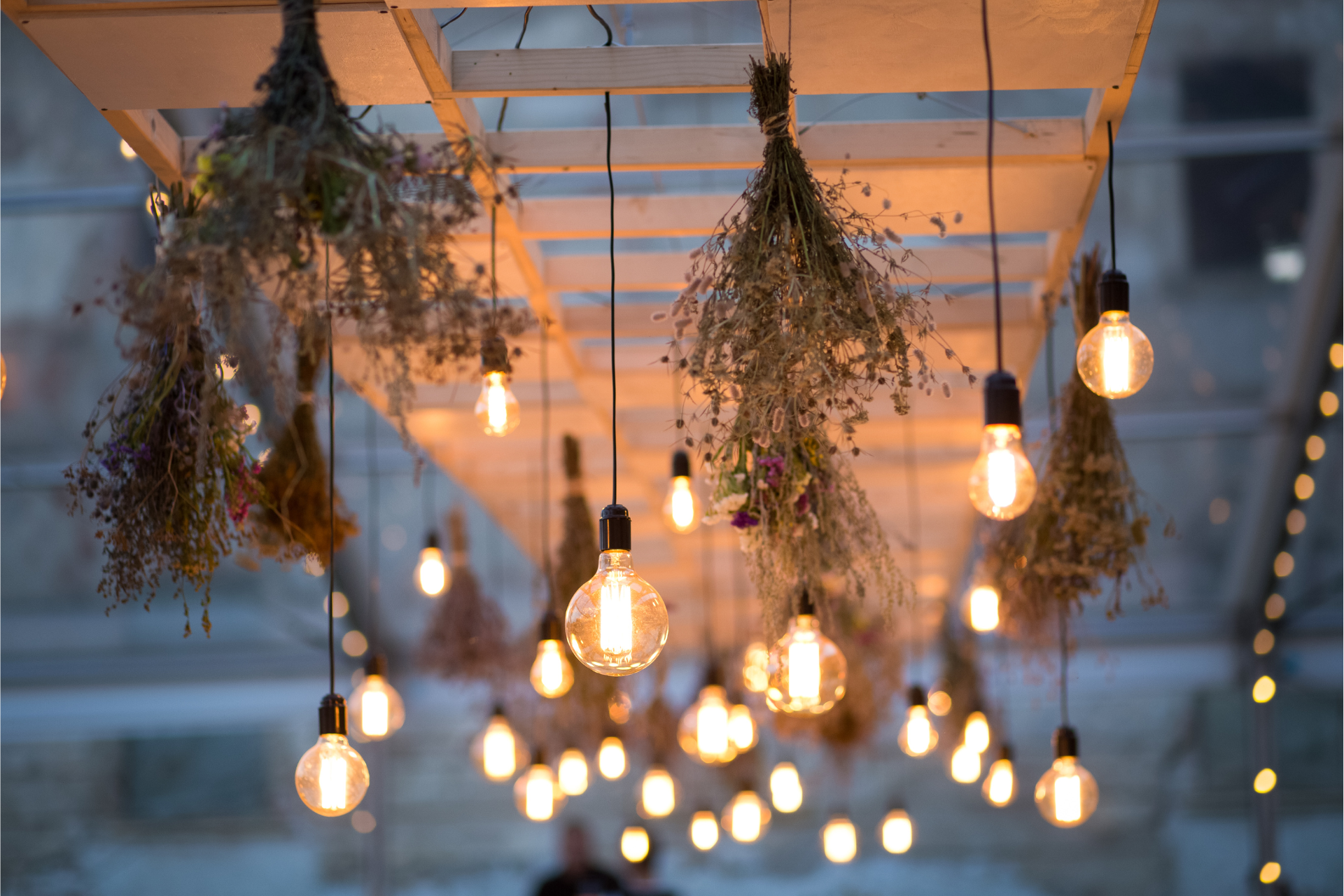 exposed light bulbs and dried flowers hang from a wooden structure at a restaurant