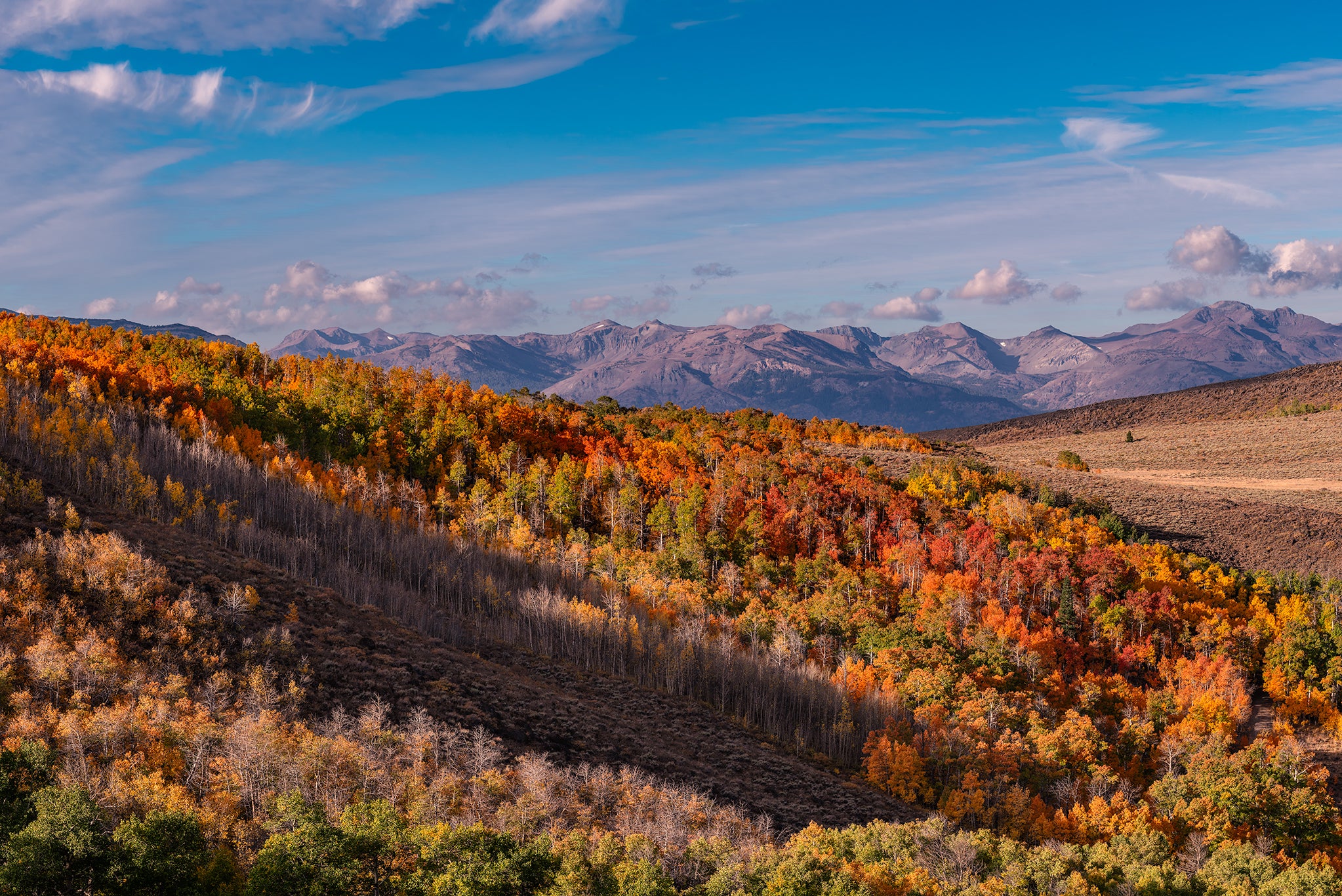 Eastern Sierra Fall Colors Getty Photography