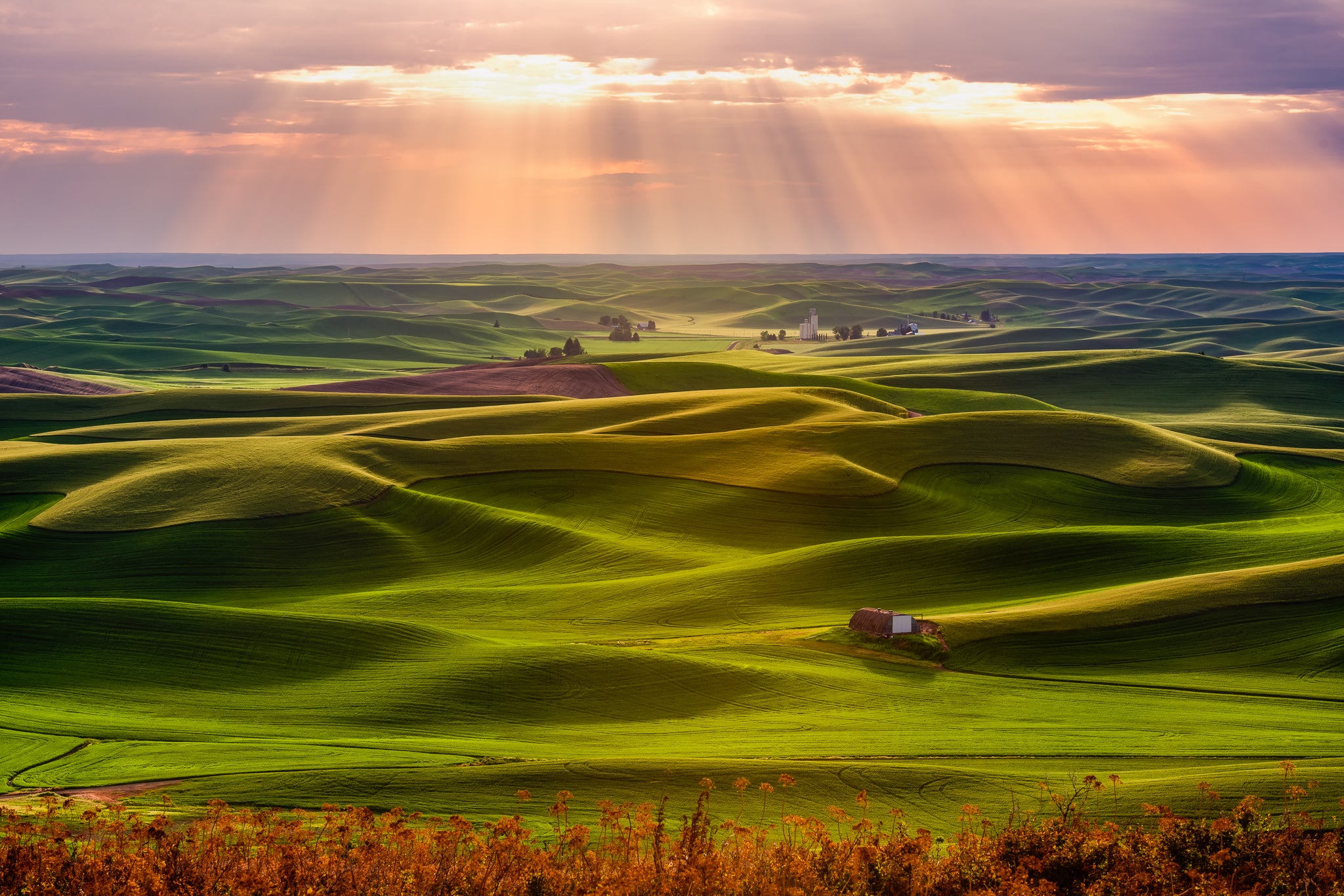 Прекрасная страна. Цвет тосканской земли. Rolling Hills. Rolling Hills meaning.