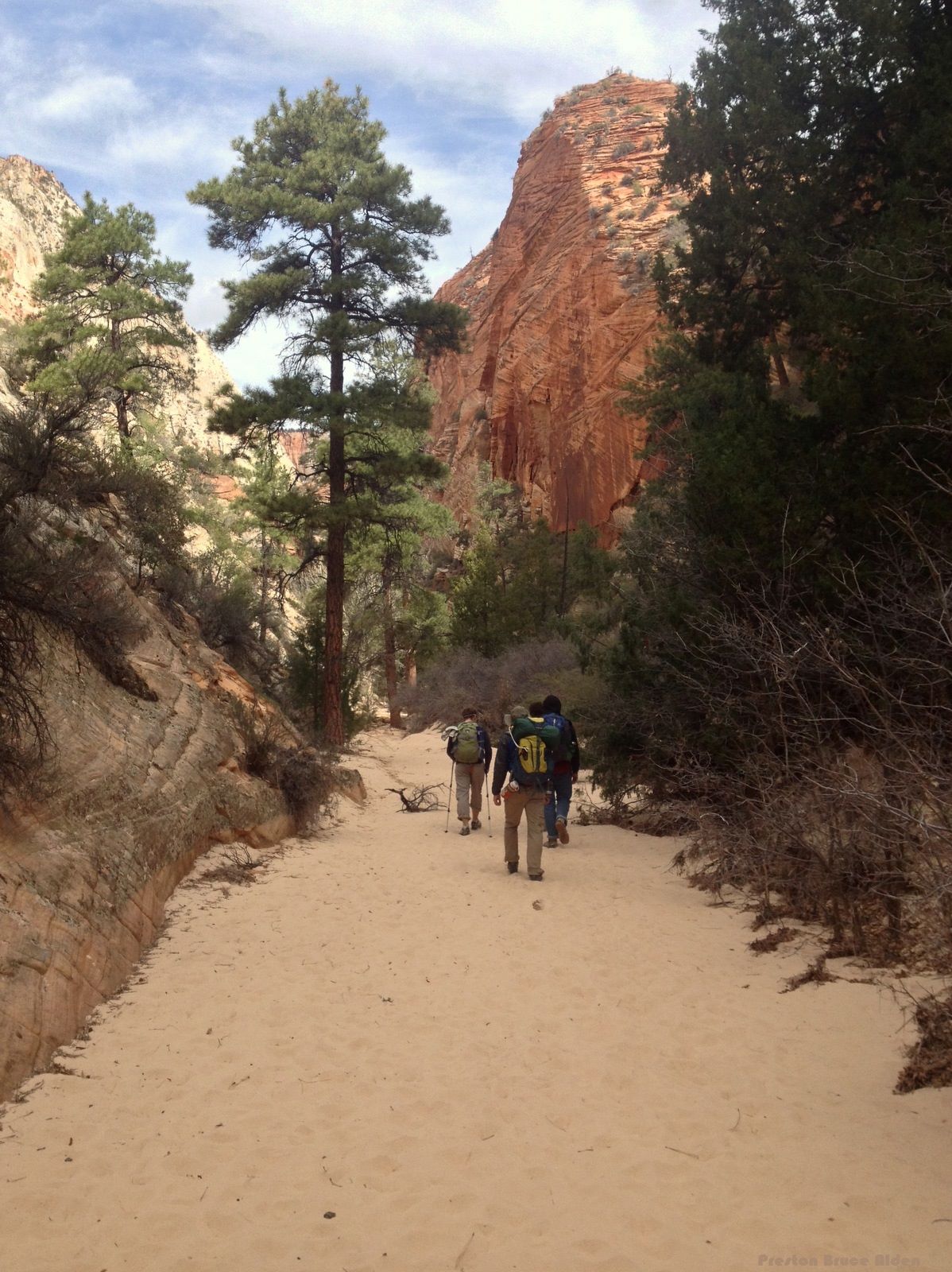 Zion National Park