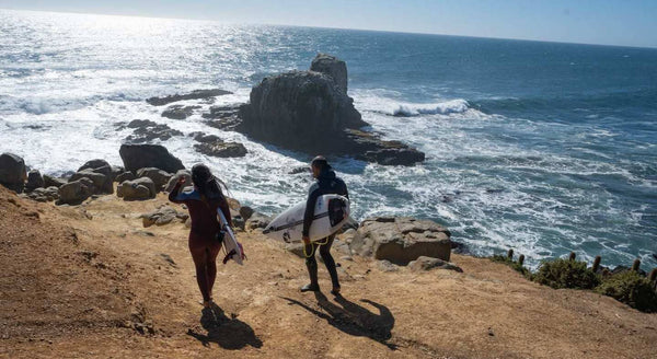 punta de lobos