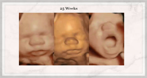 baby pictures week by week