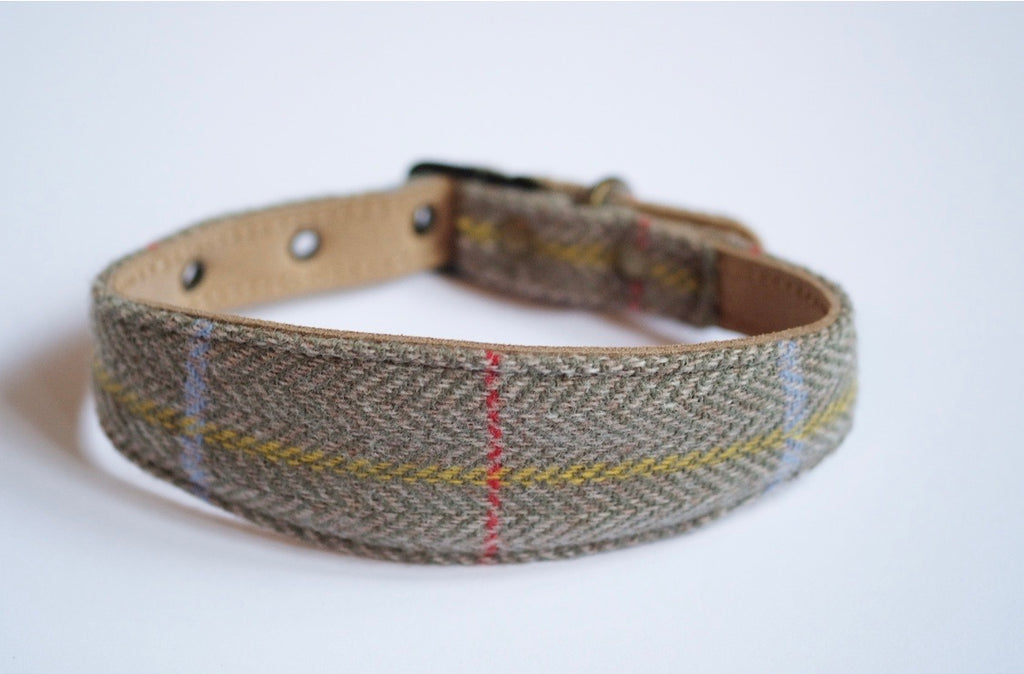 Tweed Whippet Collar Sage – Nugget Nielsen