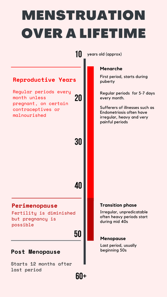 Menstruation over a lifetime from menarche to menopause