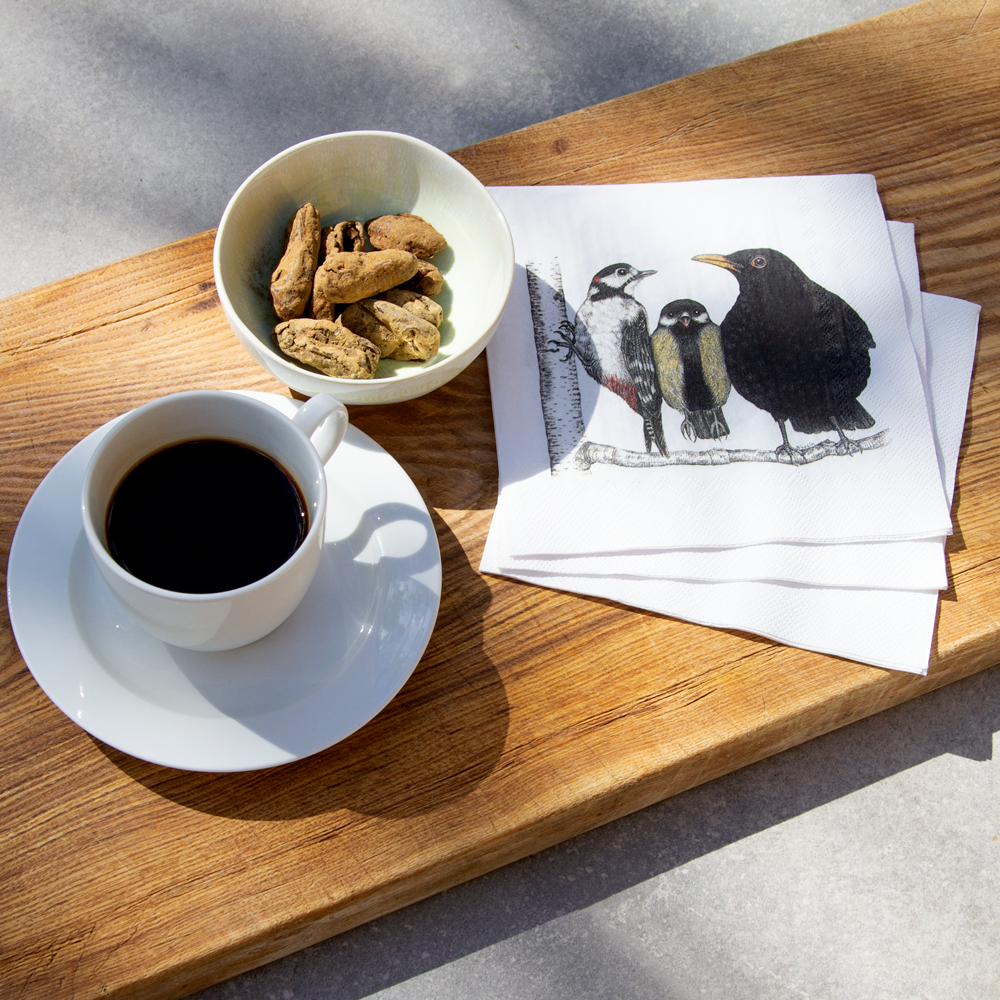 bird paper napkins