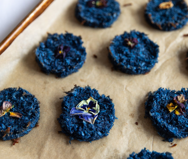 loria stern inspired coconut cookies for passover