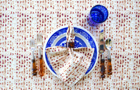 passover funny hilarious comedic matzah dinner napkin on matzoh tablecloth seder table