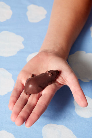 chocolate in the shape of a rat in a person's hand