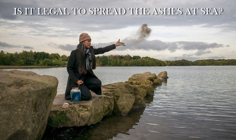 is it legal to spread the ashes at sea in Arizona