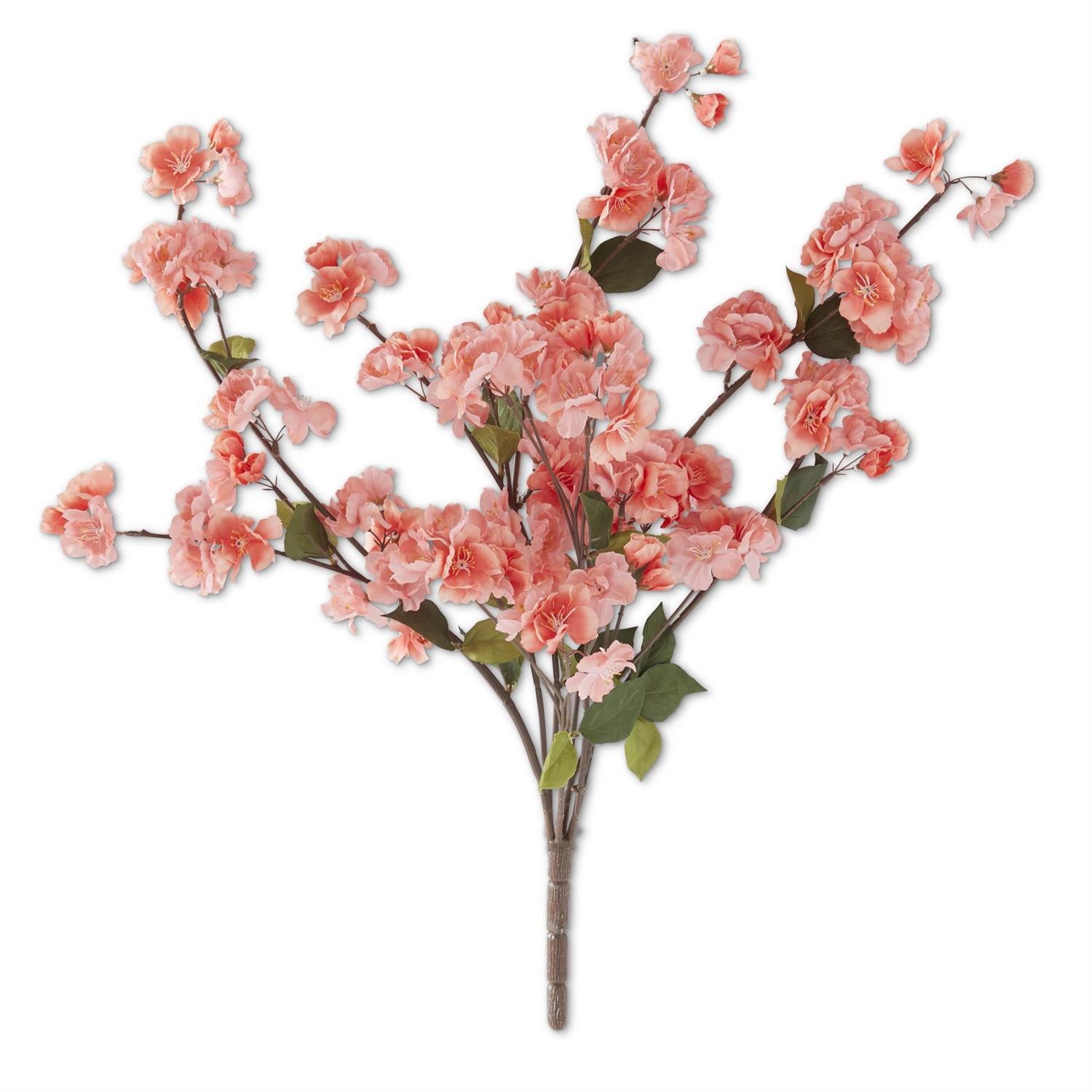 Blossom Bush