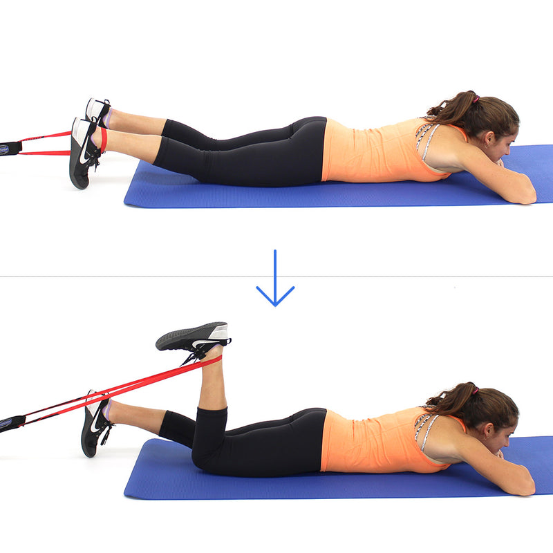 lying hamstring curl