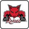 Redcat Spares