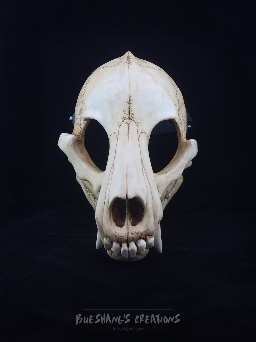 Wolf Skull Mask - Full – Bueshang's Creations