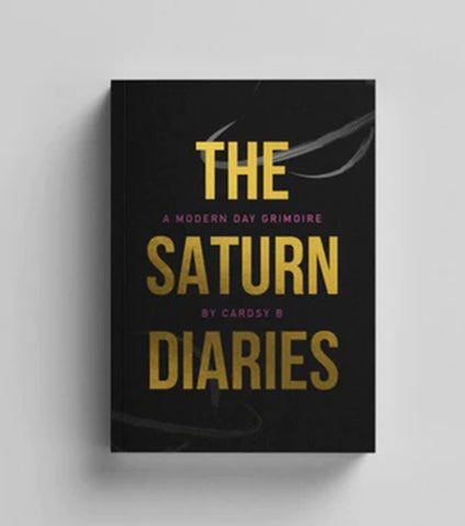 The Saturn Diaries Book