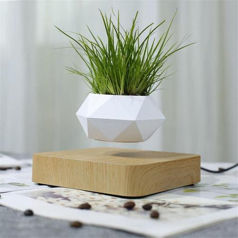 Airsai floating plant pot by Floately